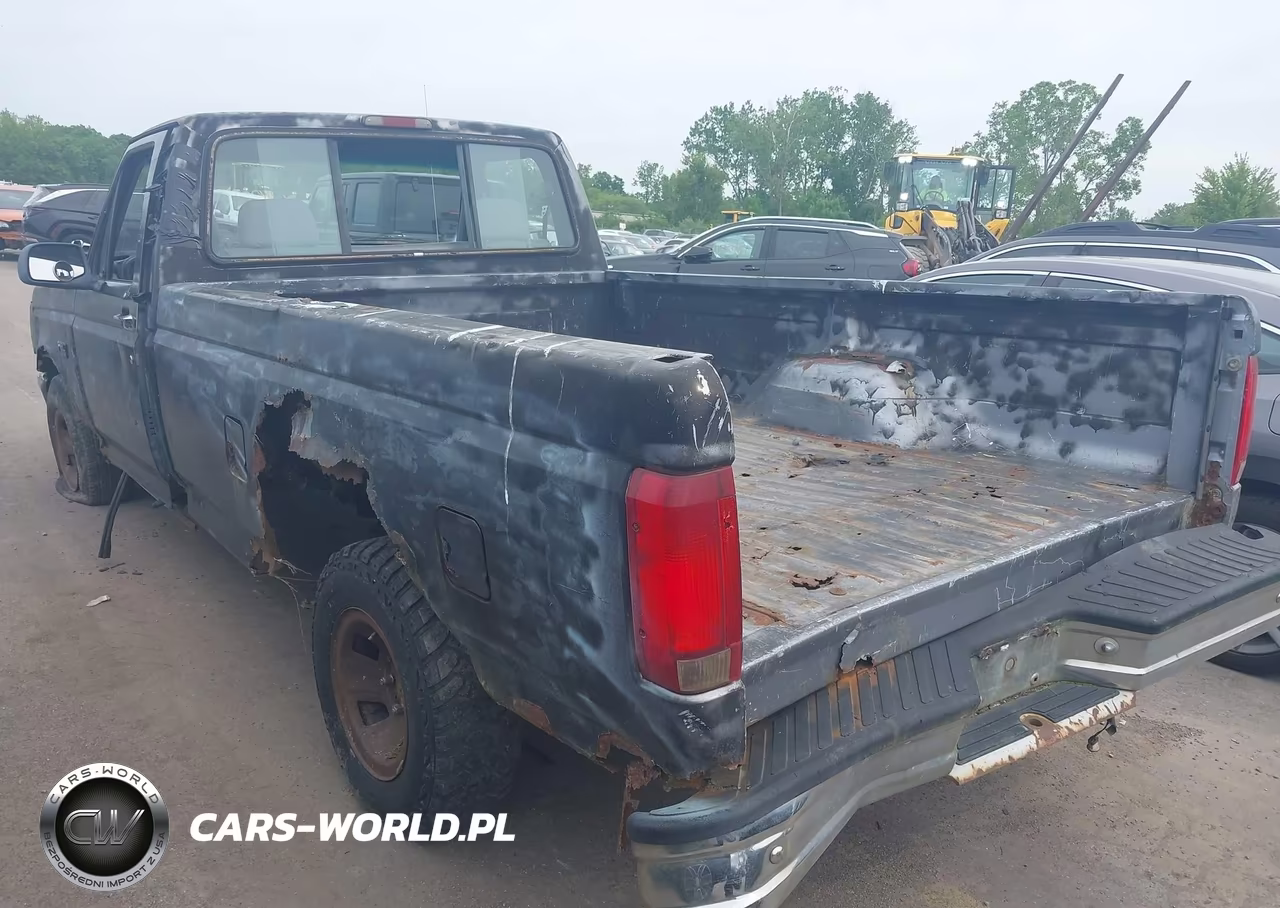 1995 Ford F150 VIN:1FTEF15Y6SLB13235 - 3