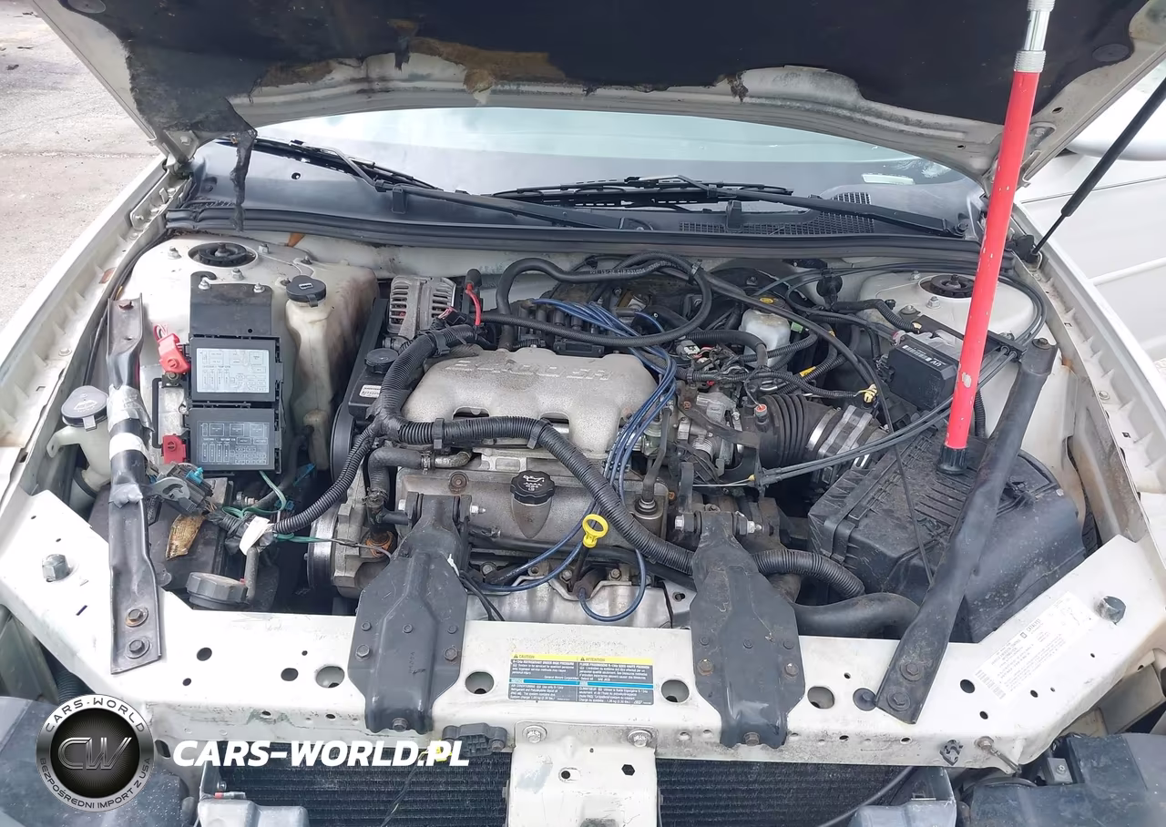 2004 Chevrolet Monte Carlo Ls VIN:2G1WW12EX49379018 - 10