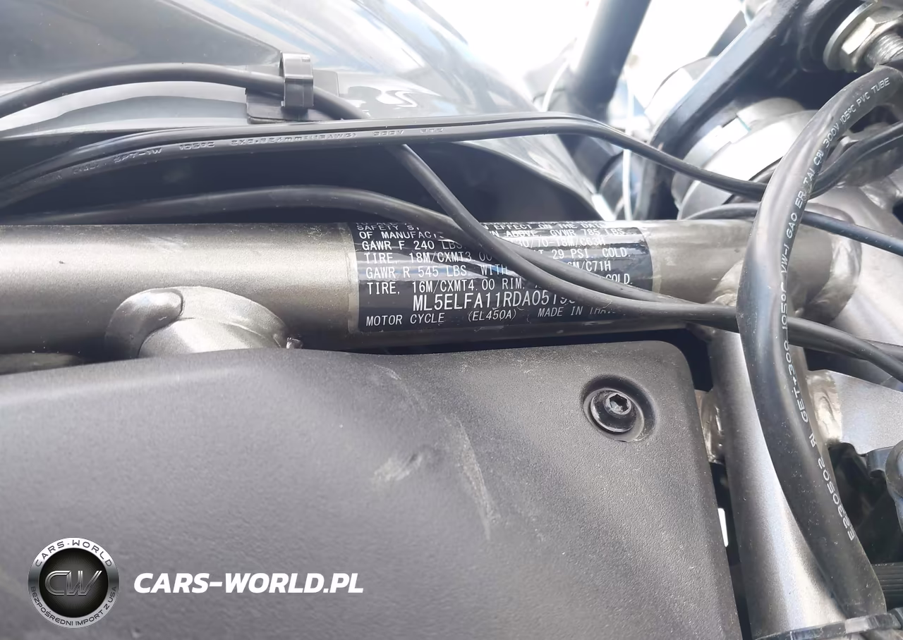 2024 Kawasaki El450 A VIN:ML5ELFA11RDA05198 - 10
