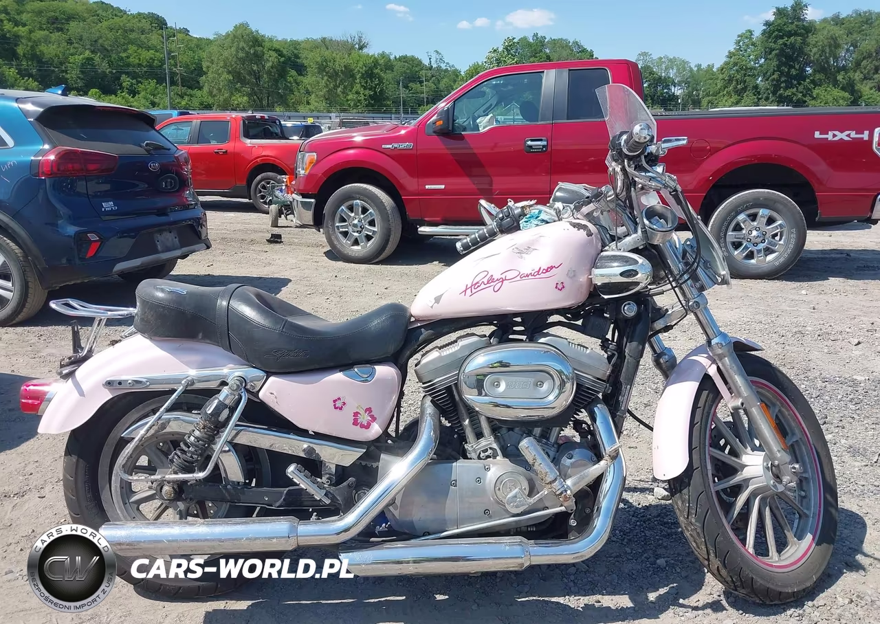 2005 Harley-Davidson Xl883 VIN:1HD4CAM145K431632 - 11