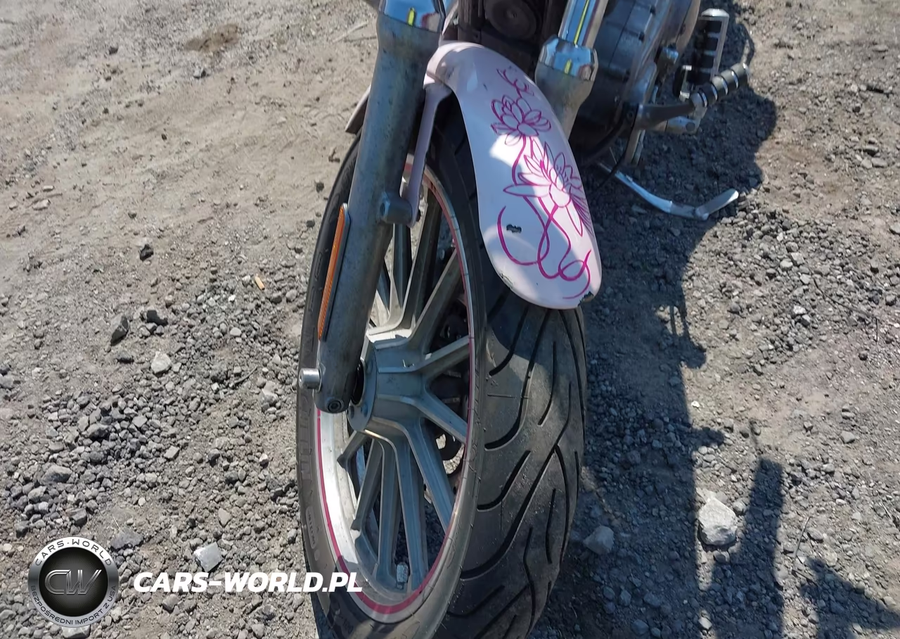 2005 Harley-Davidson Xl883 VIN:1HD4CAM145K431632 - 15