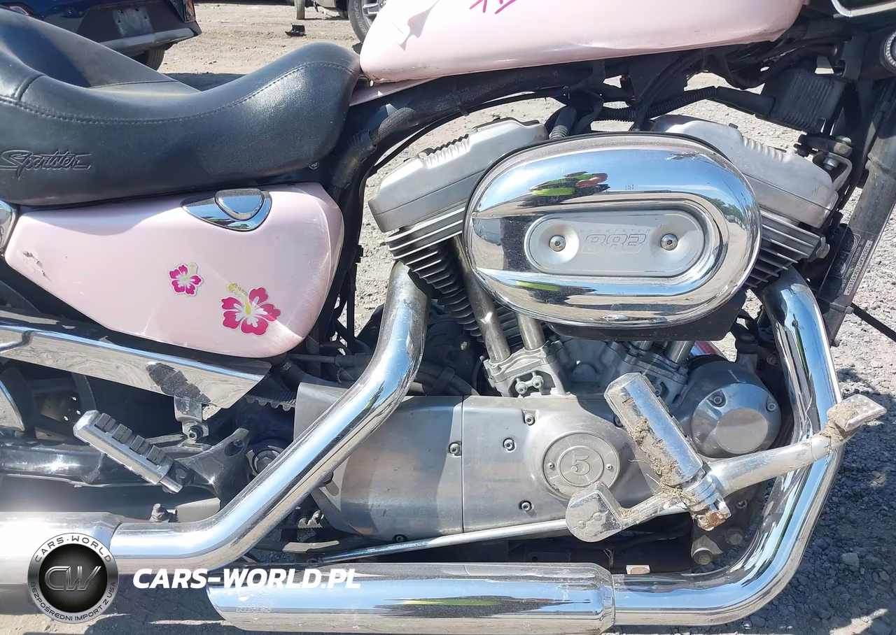2005 Harley-Davidson Xl883 VIN:1HD4CAM145K431632 - 8