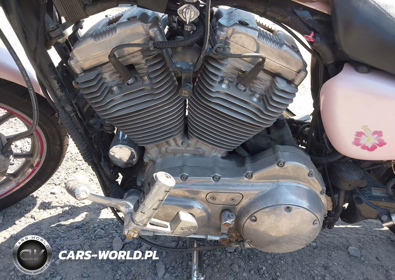 2005 Harley-Davidson Xl883 VIN:1HD4CAM145K431632 - 9