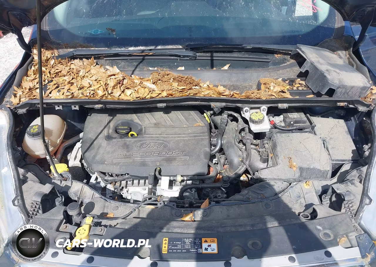 2018 Ford Escape Se VIN:1FMCU0GD5JUA19577 - 10