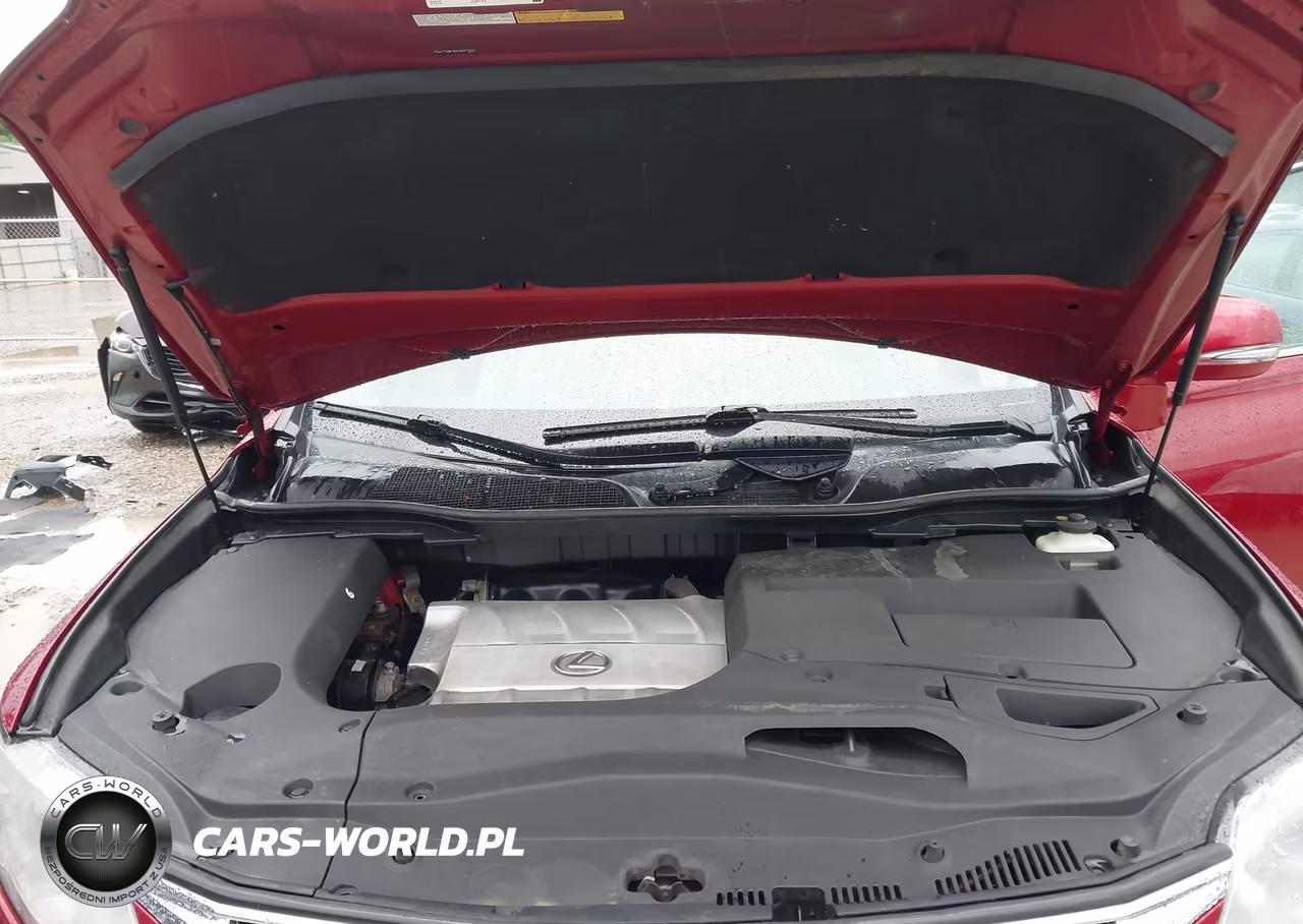 2010 Lexus Rx 350 VIN:2T2BK1BA3AC023242 - 10