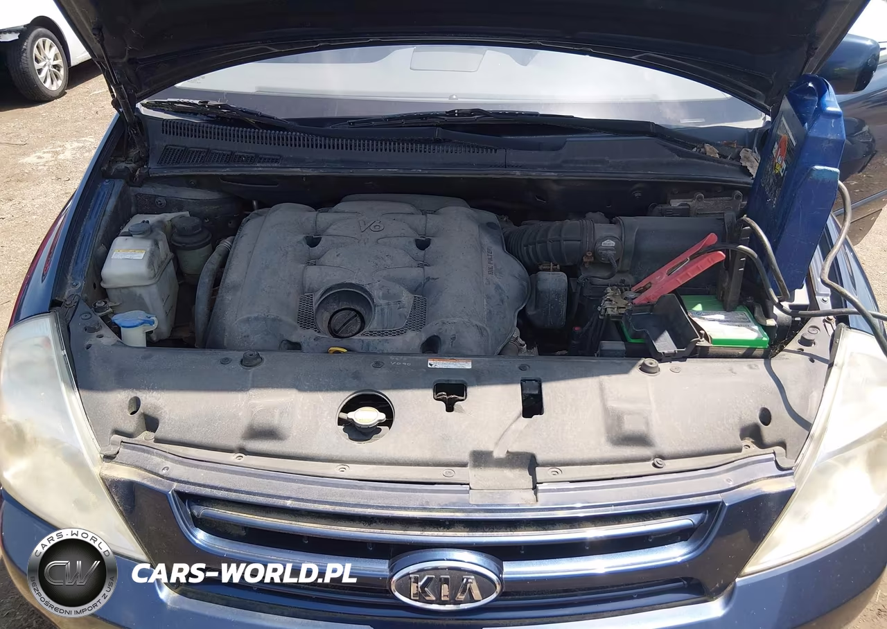 2008 Kia Sedona Lx VIN:KNDMB233786207815 - 10
