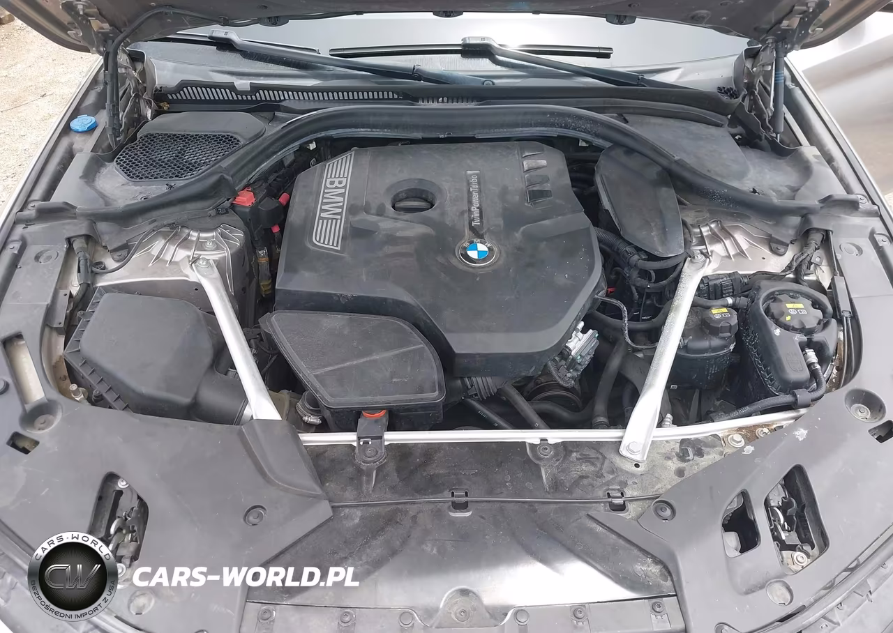 2019 BMW 530I VIN:WBAJA5C5XKWW03282 - 10