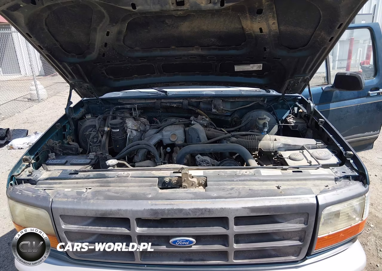 1994 Ford F150 VIN:1FTDF15Y8RNB48949 - 10