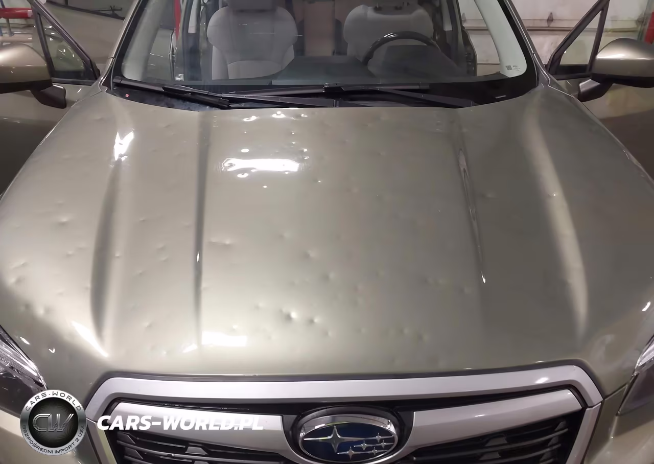 2019 Subaru Forester Premium VIN:JF2SKAEC0KH578035 - 6