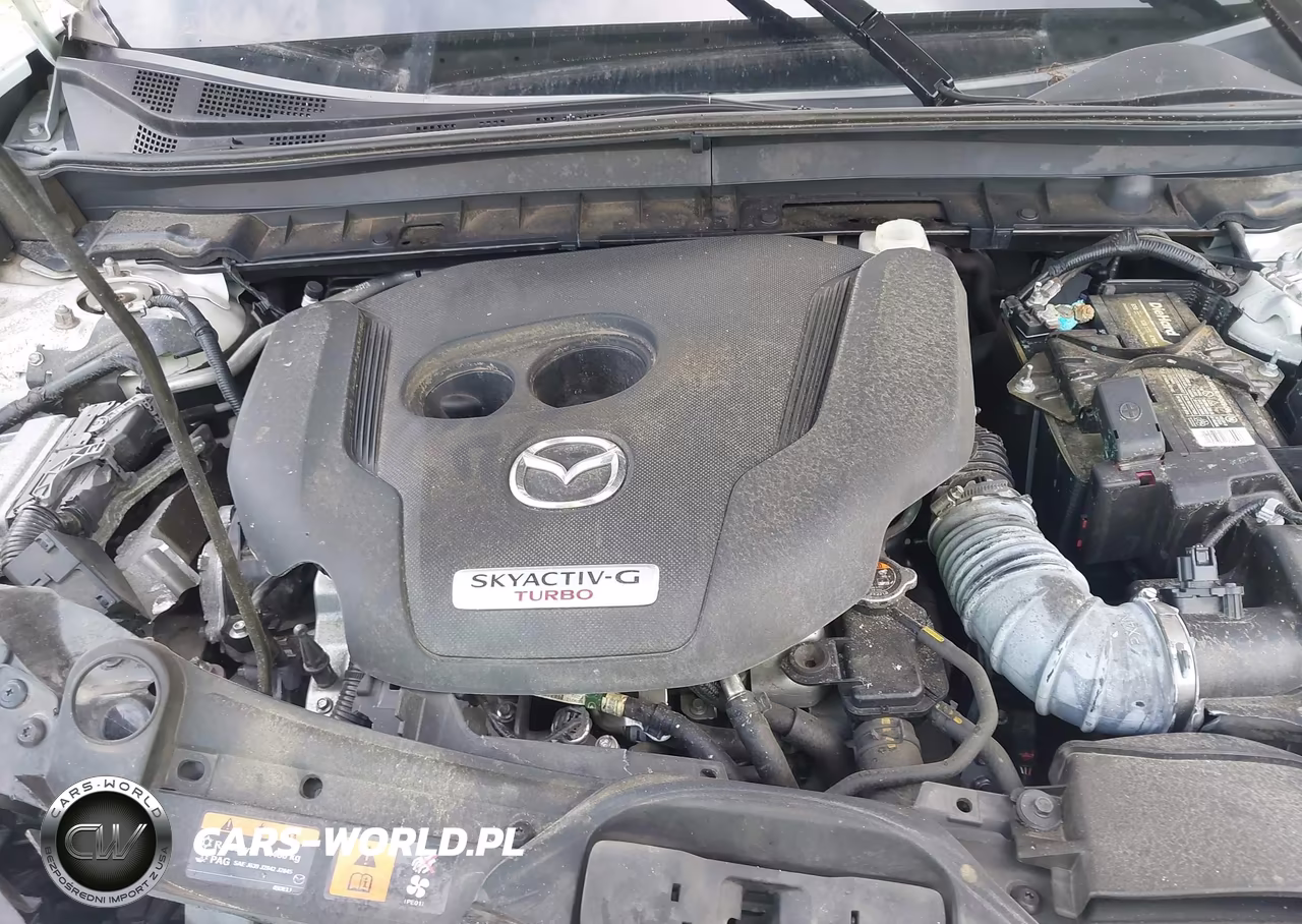 2022 Mazda Cx-30 2.5 Turbo Premium Plus VIN:3MVDMBEYXNM407780 - 10