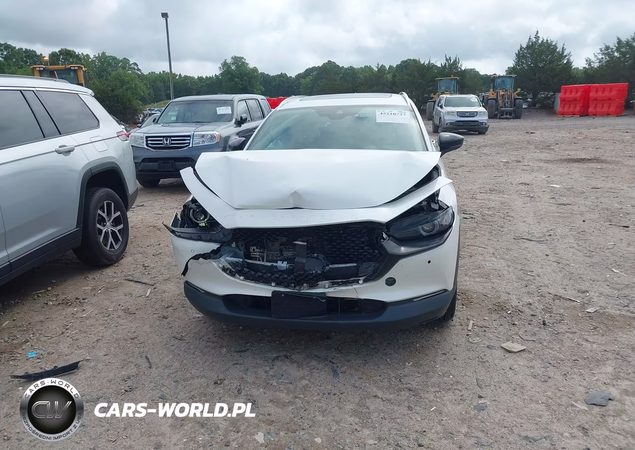 2022 Mazda Cx-30 2.5 Turbo Premium Plus VIN:3MVDMBEYXNM407780 - 12