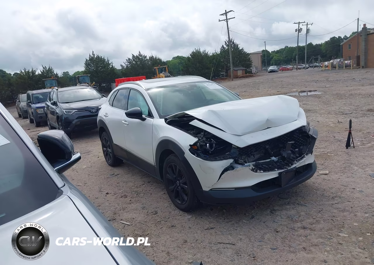 2022 Mazda Cx-30 2.5 Turbo Premium Plus VIN:3MVDMBEYXNM407780 - 13