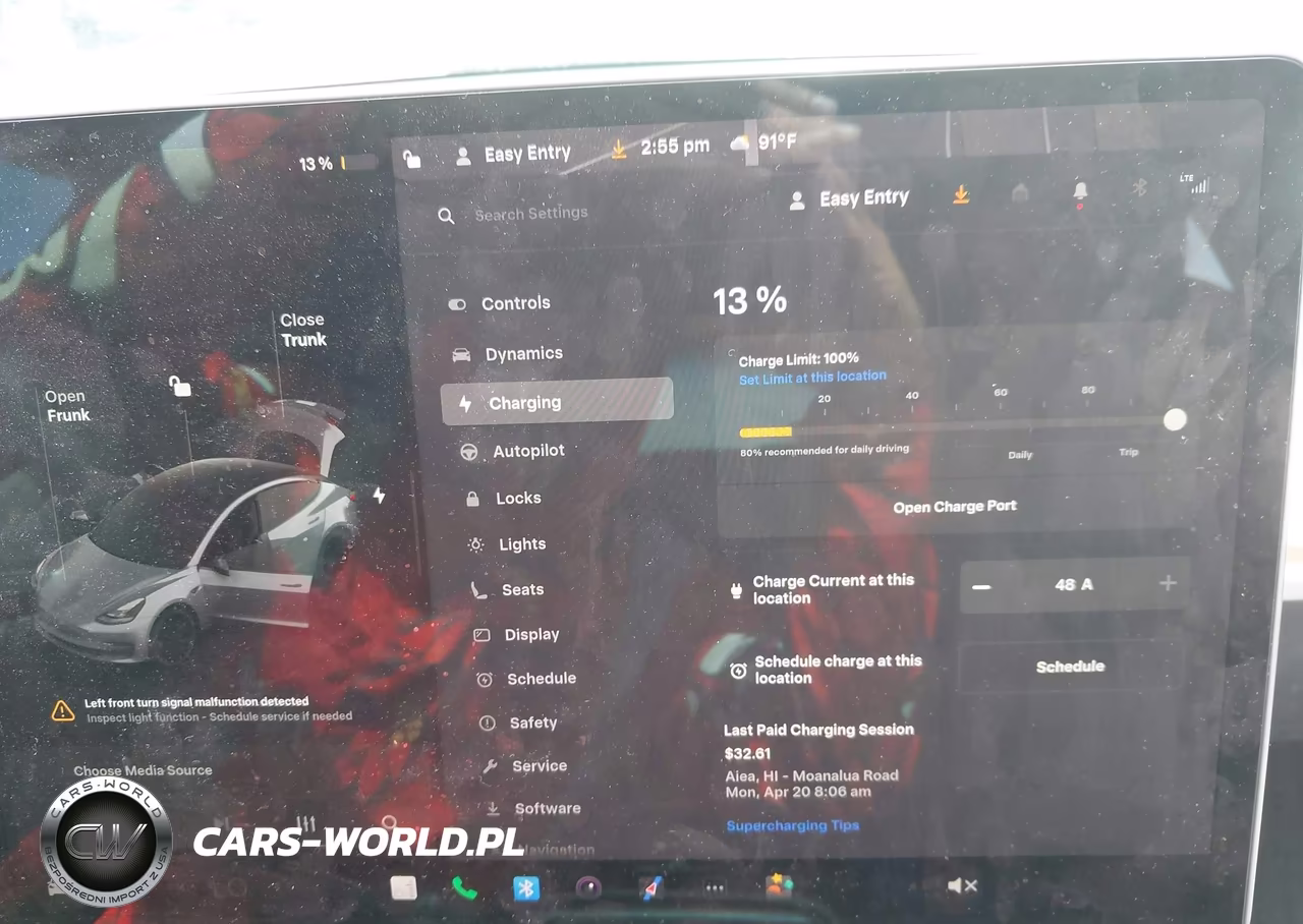 2023 Tesla Model 3 Performance Dual Motor All-Wheel Drive VIN:5YJ3E1EC2PF407899 - 17