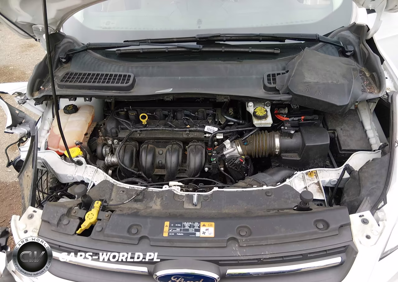2016 Ford Escape Se VIN:1FMCU0G77GUB03645 - 10
