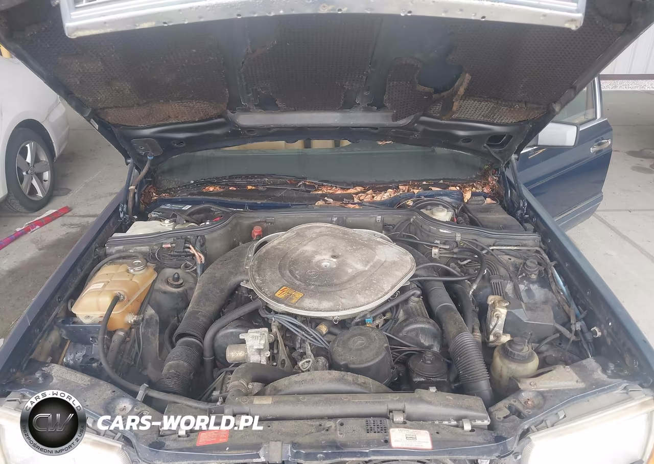 1991 Mercedes-Benz 560 Sel VIN:WDBCA39E7MA565502 - 10