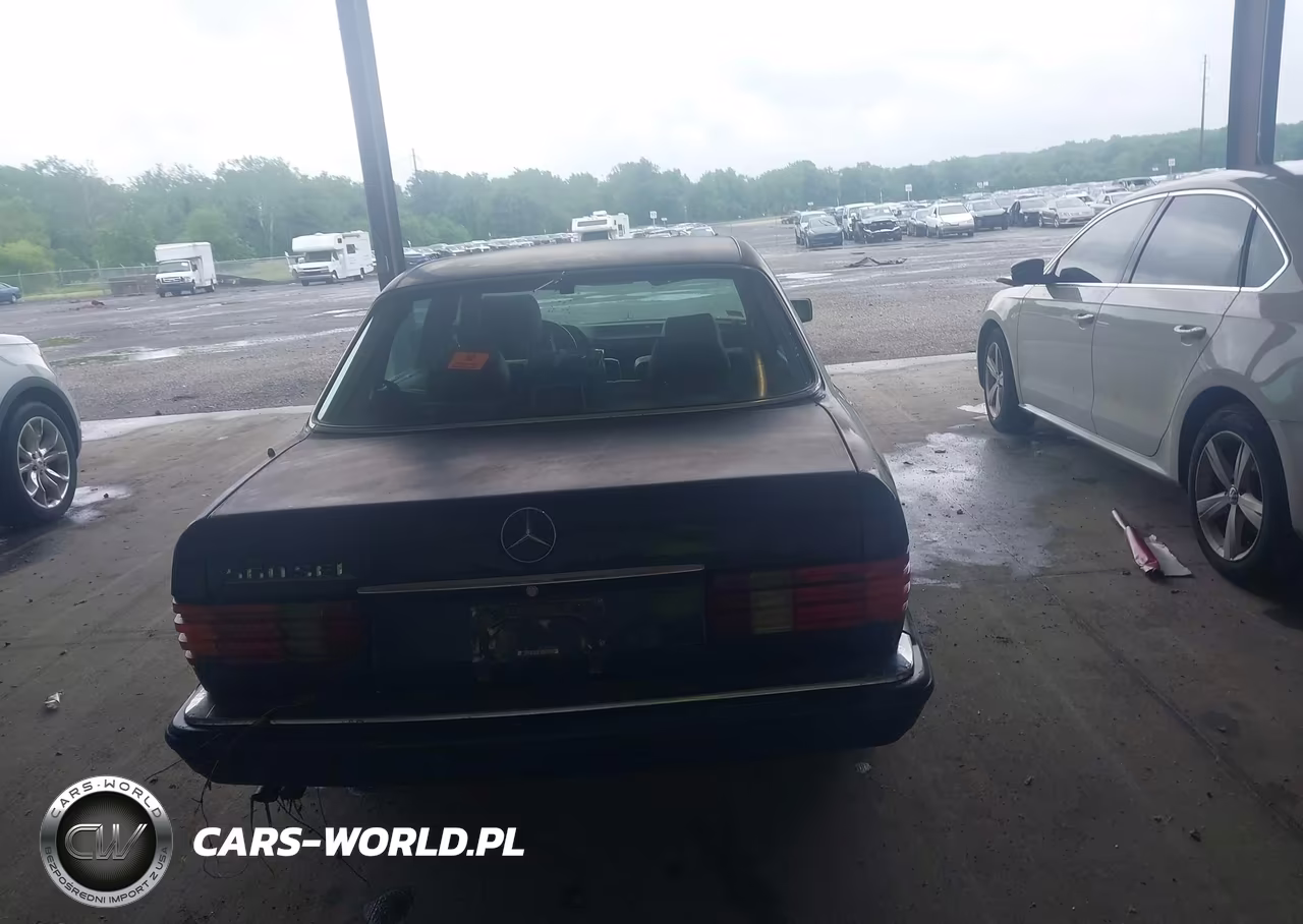 1991 Mercedes-Benz 560 Sel VIN:WDBCA39E7MA565502 - 16