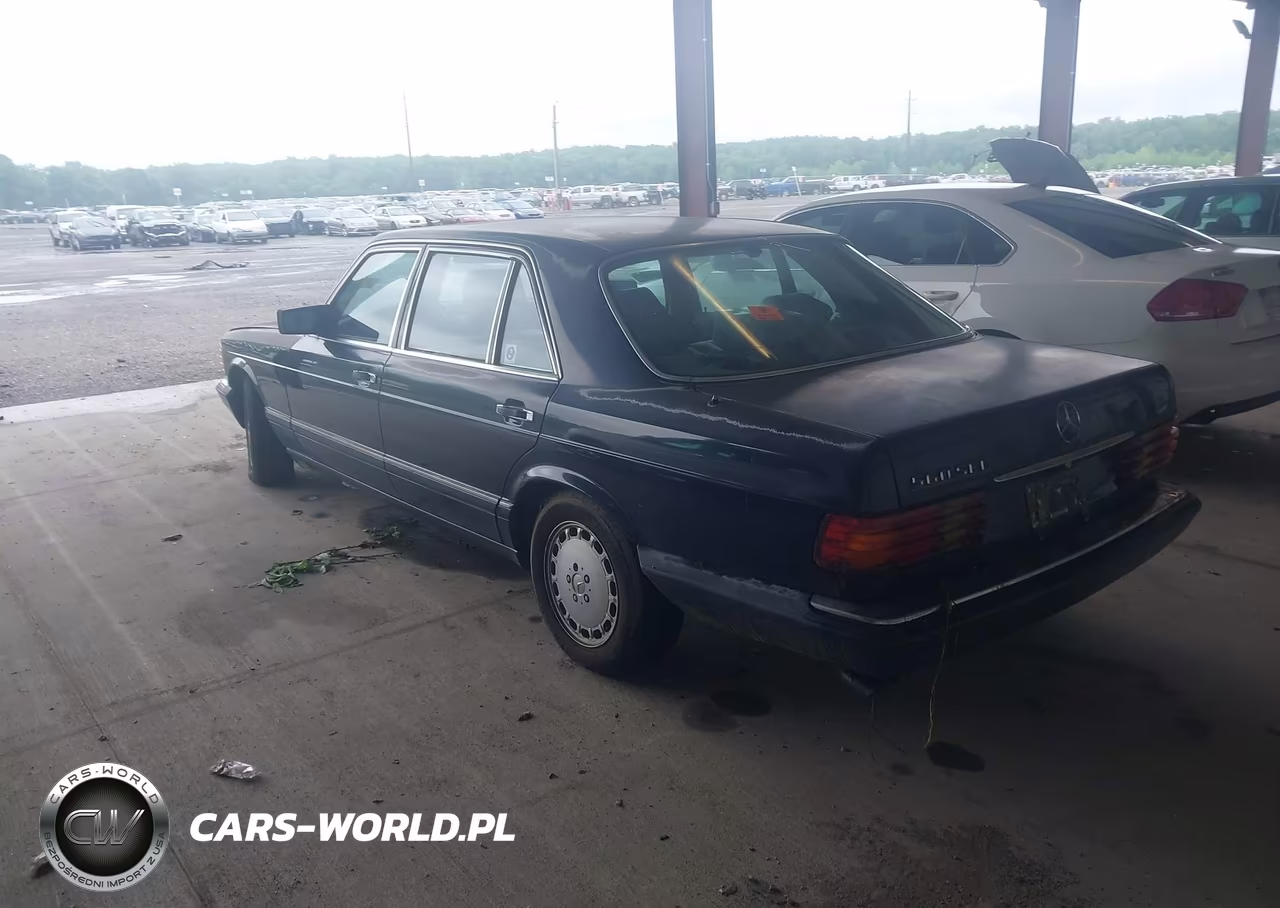 1991 Mercedes-Benz 560 Sel VIN:WDBCA39E7MA565502 - 3