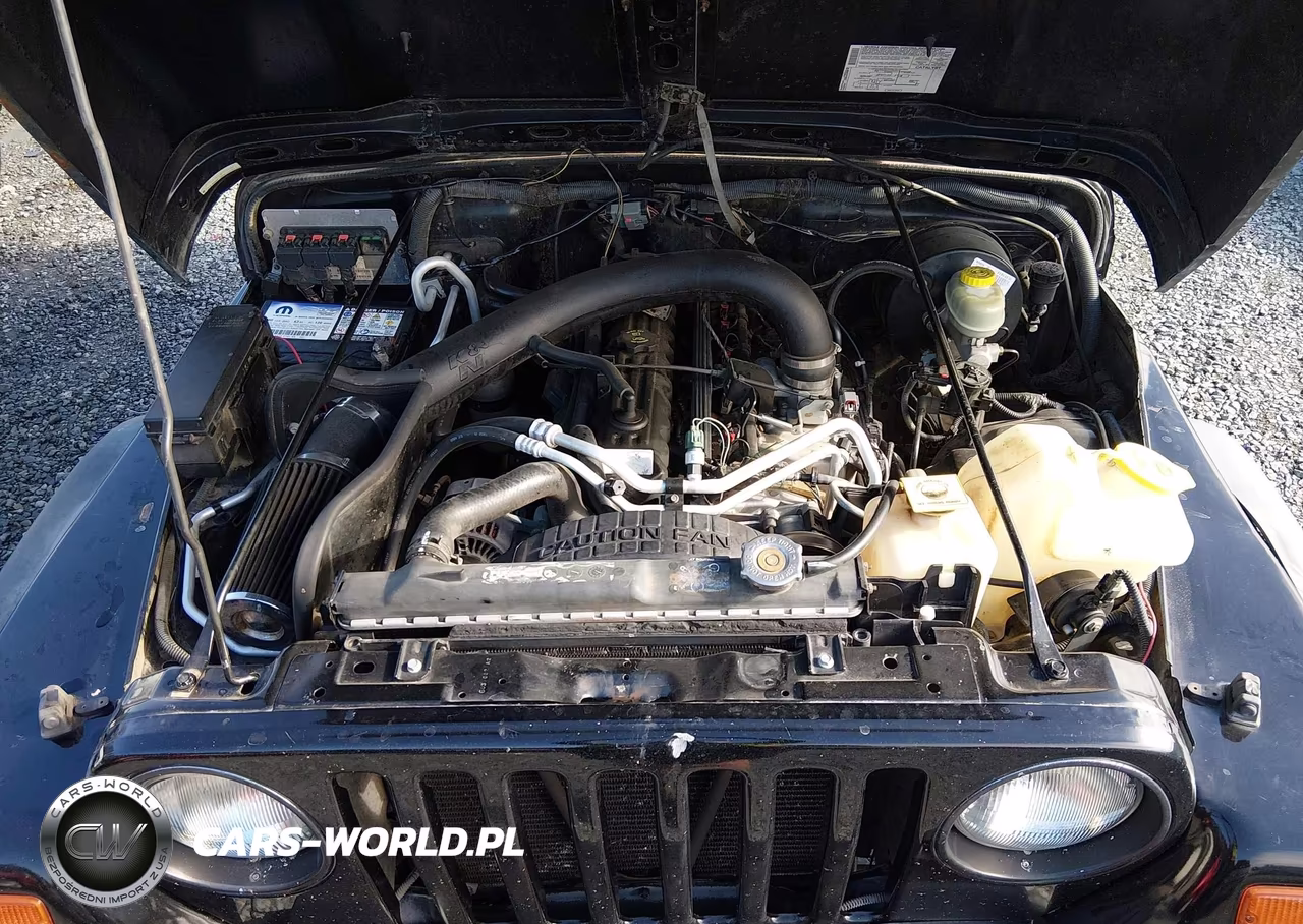 2005 Jeep Wrangler X VIN:1J4FA39S25P365656 - 10
