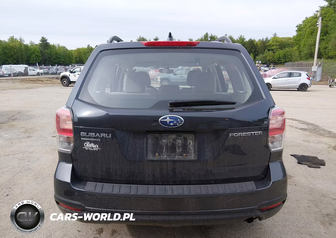 2018 Subaru Forester 2.5I VIN:JF2SJABC3JH469168 - 16