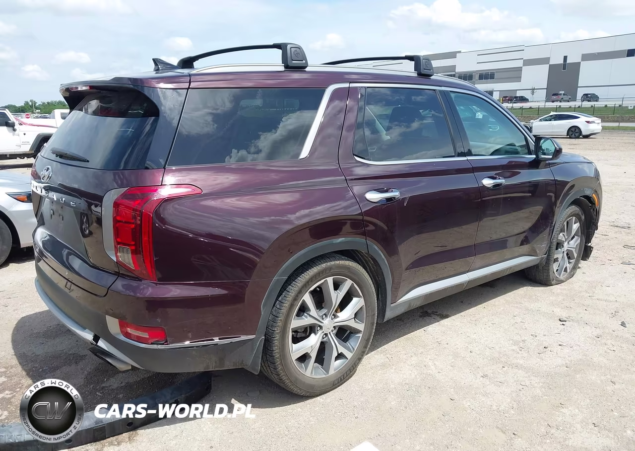 2020 Hyundai Palisade Sel VIN:KM8R44HE3LU037622 - 4