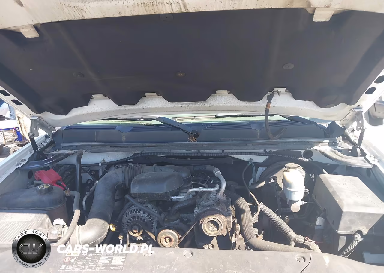 2011 Chevrolet Silverado 1500 Work Truck VIN:1GCNCPEX1BZ304352 - 10