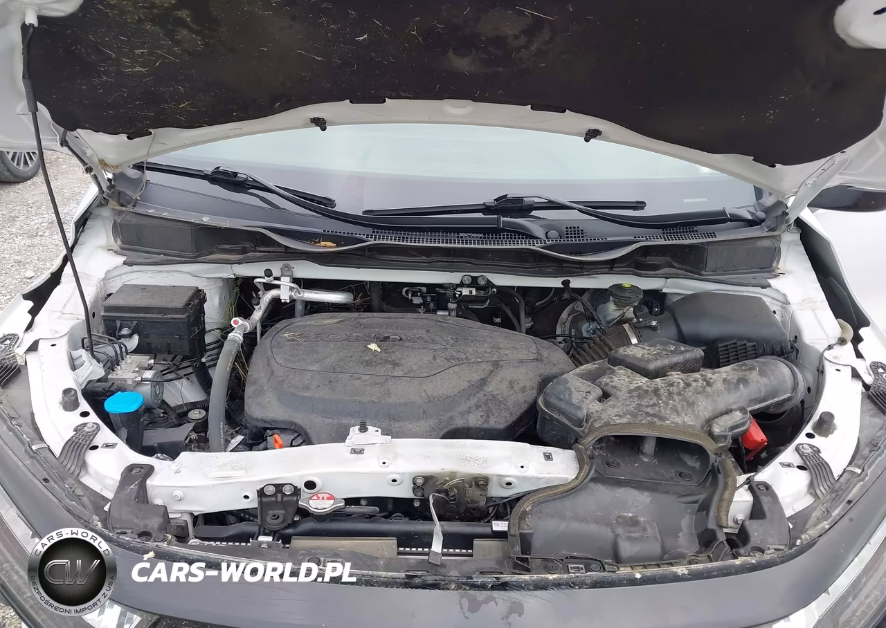 2023 Honda Odyssey Sport VIN:5FNRL6H74PB047210 - 10