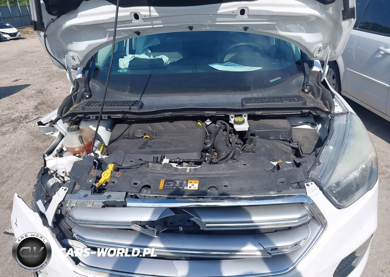 2017 Ford Escape Se VIN:1FMCU9GD9HUB03478 - 10