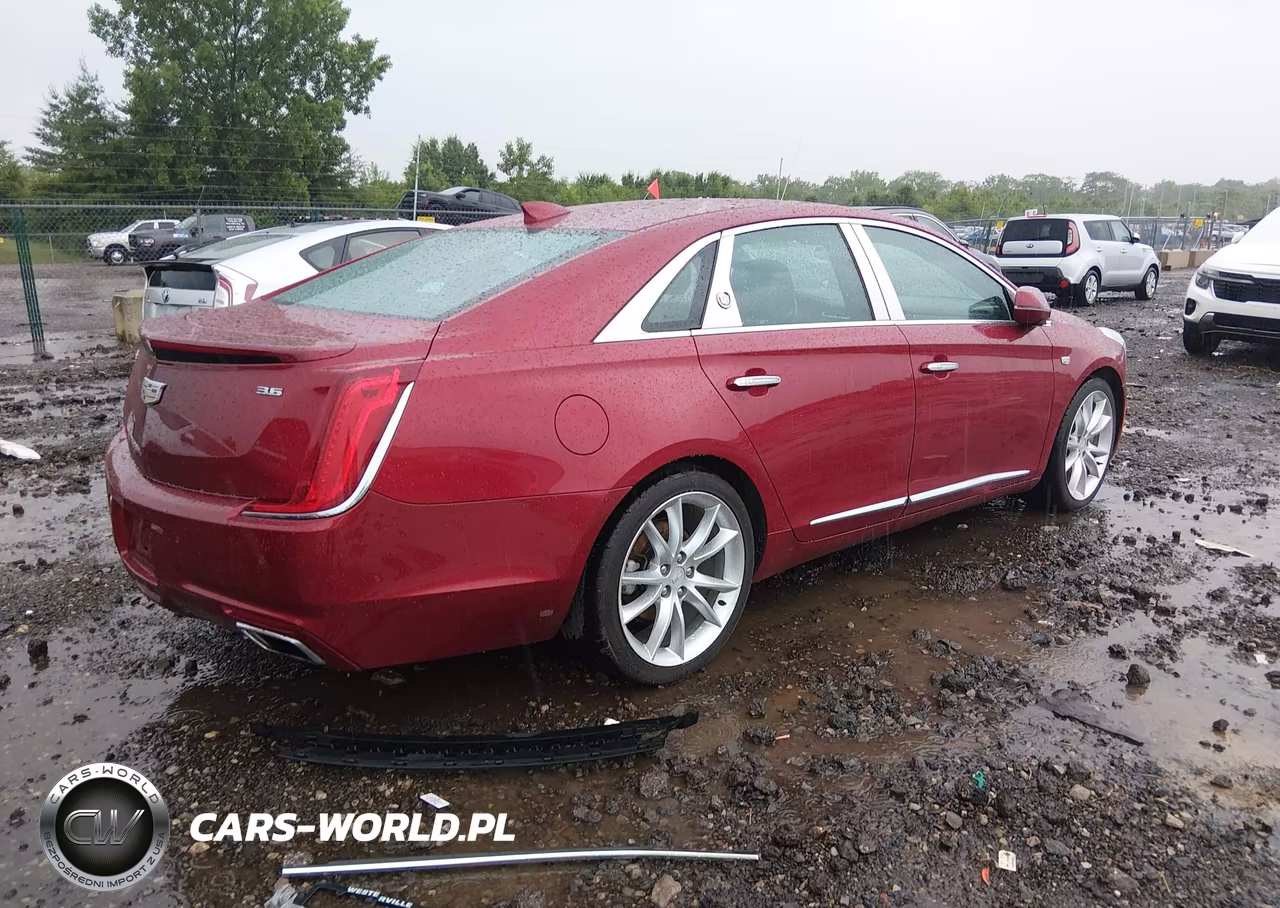 2019 Cadillac Xts Luxury VIN:2G61M5S33K9118326 - 4