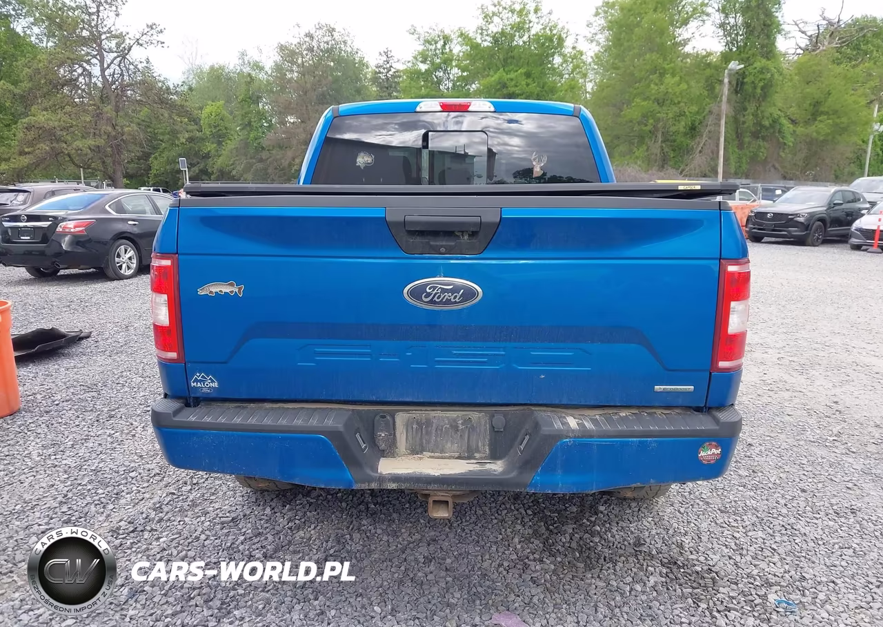2019 Ford F-150 Xlt VIN:1FTEW1EP0KFA10625 - 16