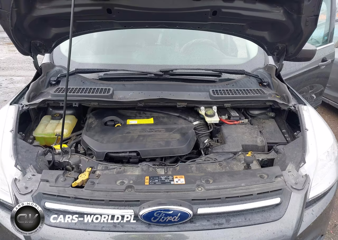 2015 Ford Escape Se VIN:1FMCU9GX4FUB91010 - 10