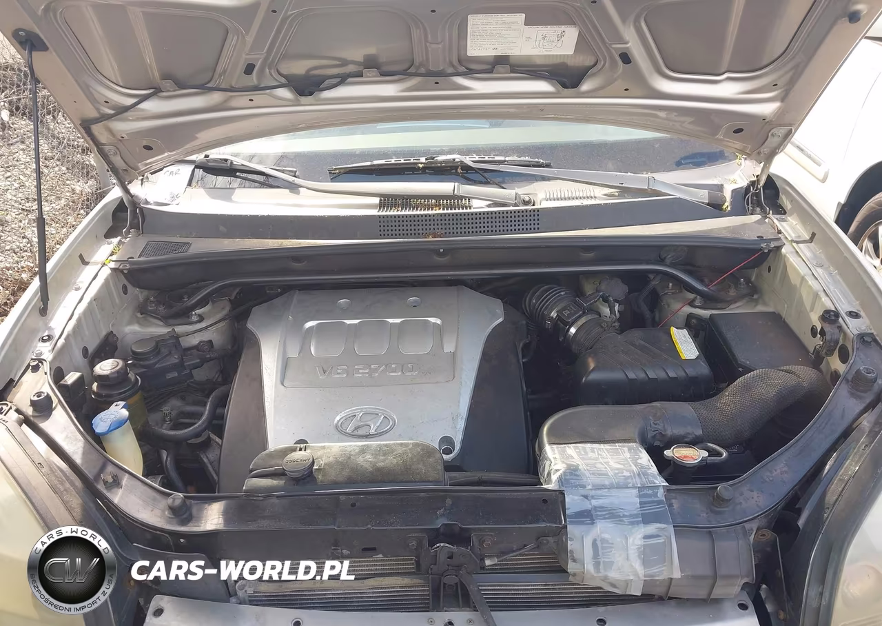 2006 Hyundai Tucson Gls-Limited VIN:KM8JN12D76U299785 - 10