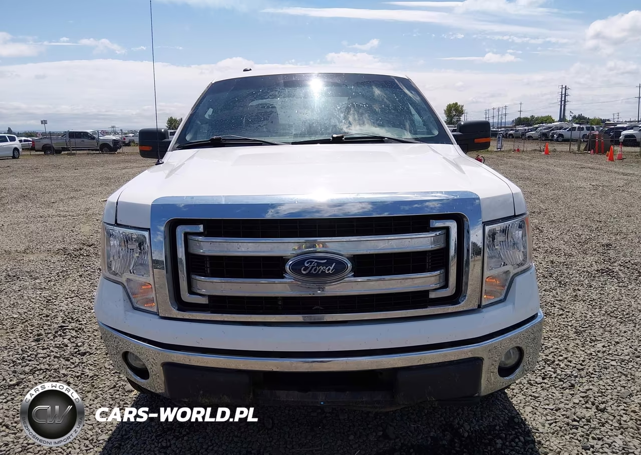 2014 Ford F-150 Xlt VIN:1FTFX1CF1EFC94315 - 12