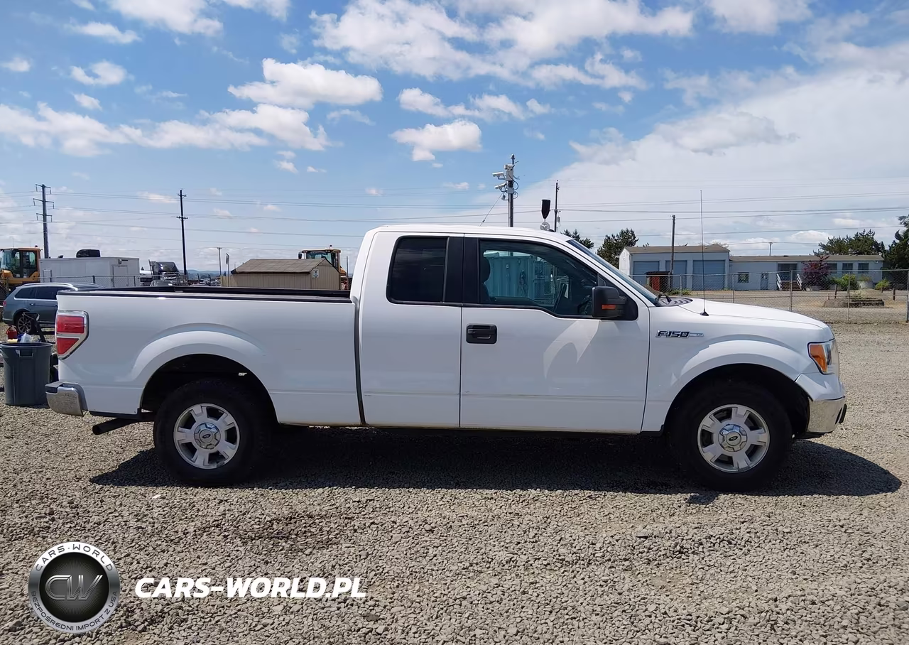 2014 Ford F-150 Xlt VIN:1FTFX1CF1EFC94315 - 13