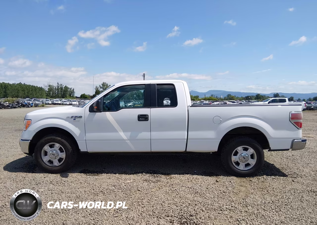 2014 Ford F-150 Xlt VIN:1FTFX1CF1EFC94315 - 14