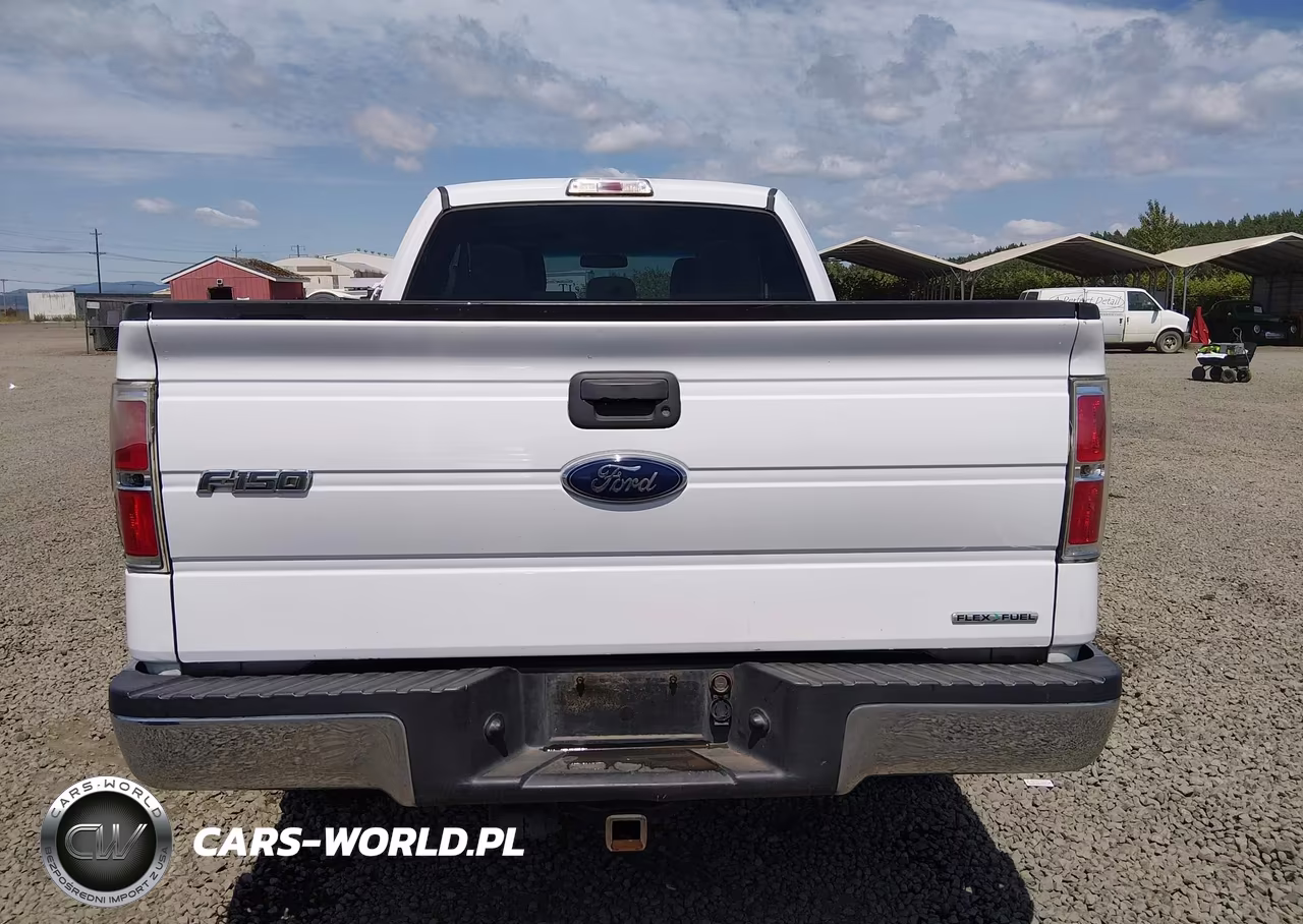 2014 Ford F-150 Xlt VIN:1FTFX1CF1EFC94315 - 16