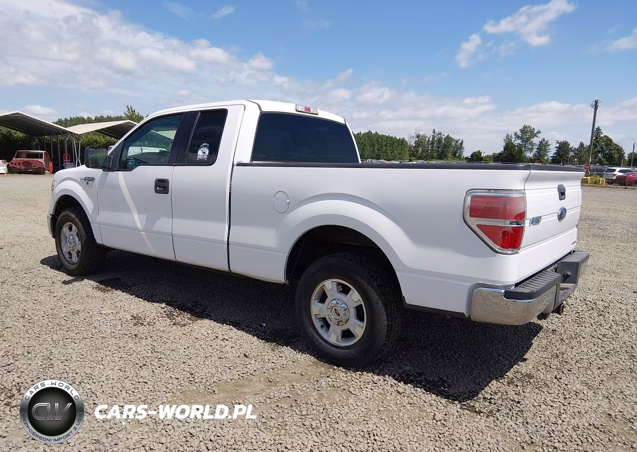 2014 Ford F-150 Xlt VIN:1FTFX1CF1EFC94315 - 3