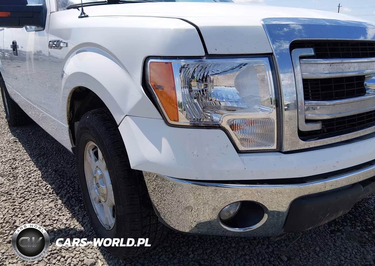 2014 Ford F-150 Xlt VIN:1FTFX1CF1EFC94315 - 6