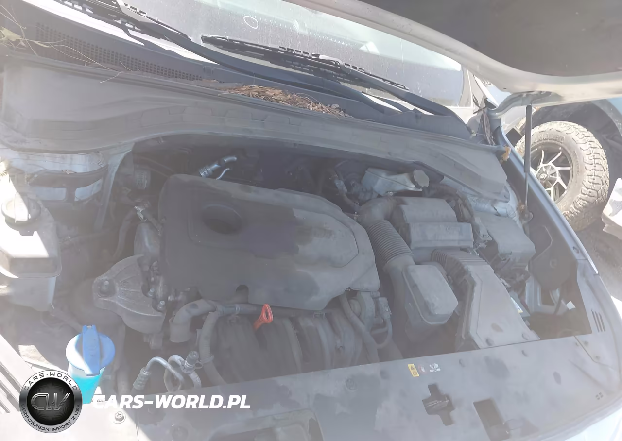 2019 Hyundai Santa Fe Se VIN:5NMS2CAD2KH119208 - 10