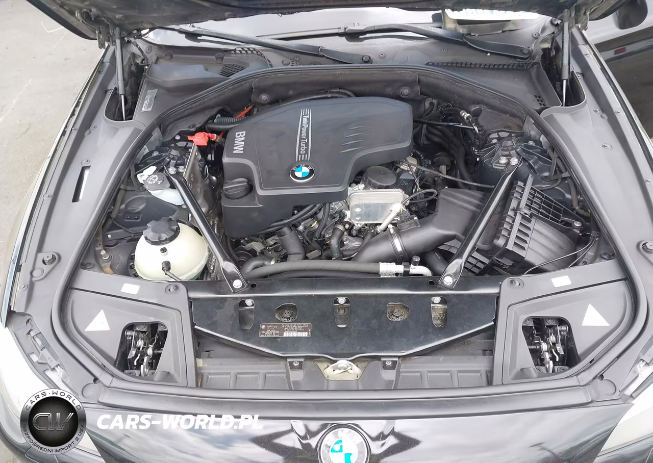 2013 BMW 528I VIN:WBAXG5C50DD235055 - 10