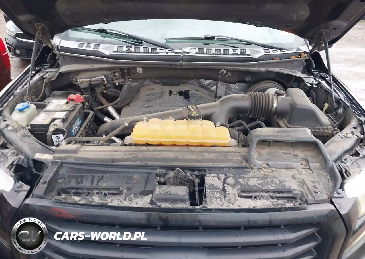 2015 Ford F-150 Xlt VIN:1FTEW1CG1FKE29101 - 10