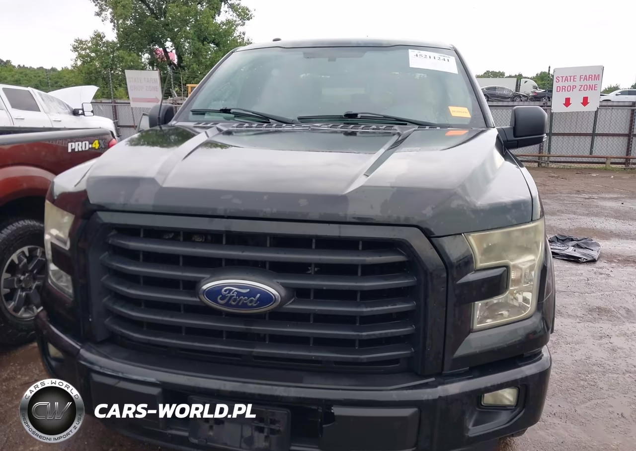 2015 Ford F-150 Xlt VIN:1FTEW1CG1FKE29101 - 12