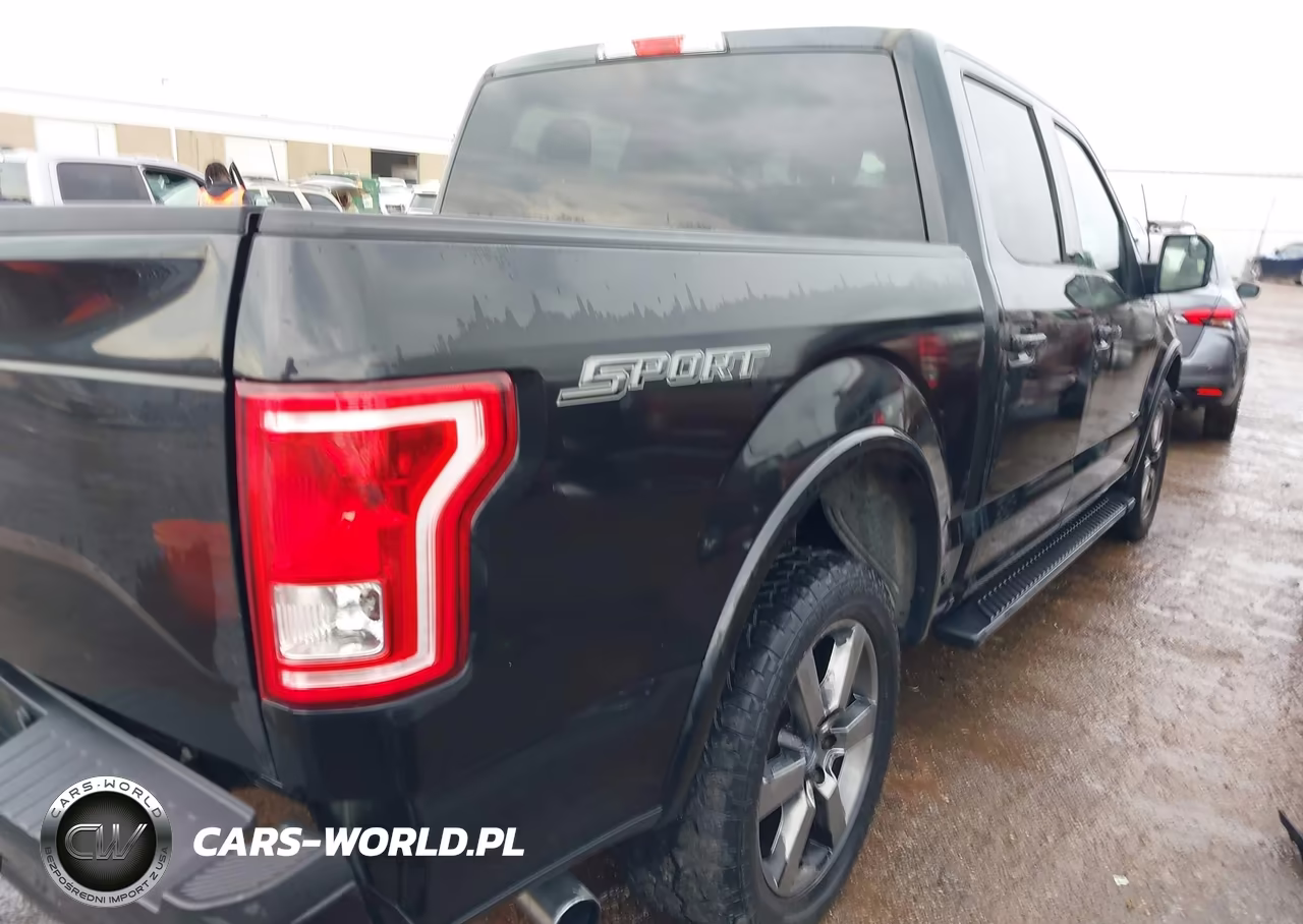 2015 Ford F-150 Xlt VIN:1FTEW1CG1FKE29101 - 13