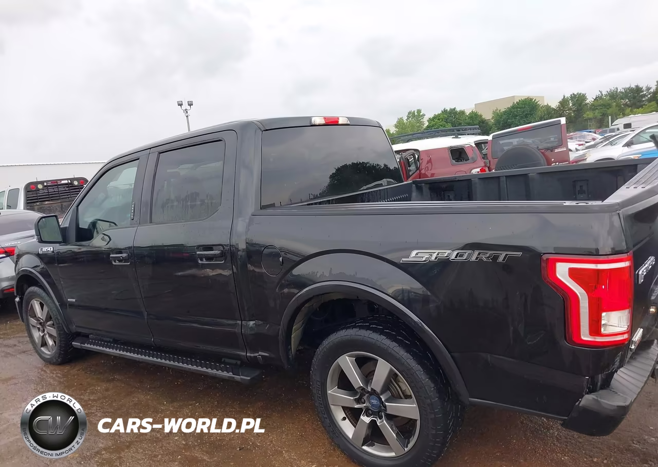 2015 Ford F-150 Xlt VIN:1FTEW1CG1FKE29101 - 14