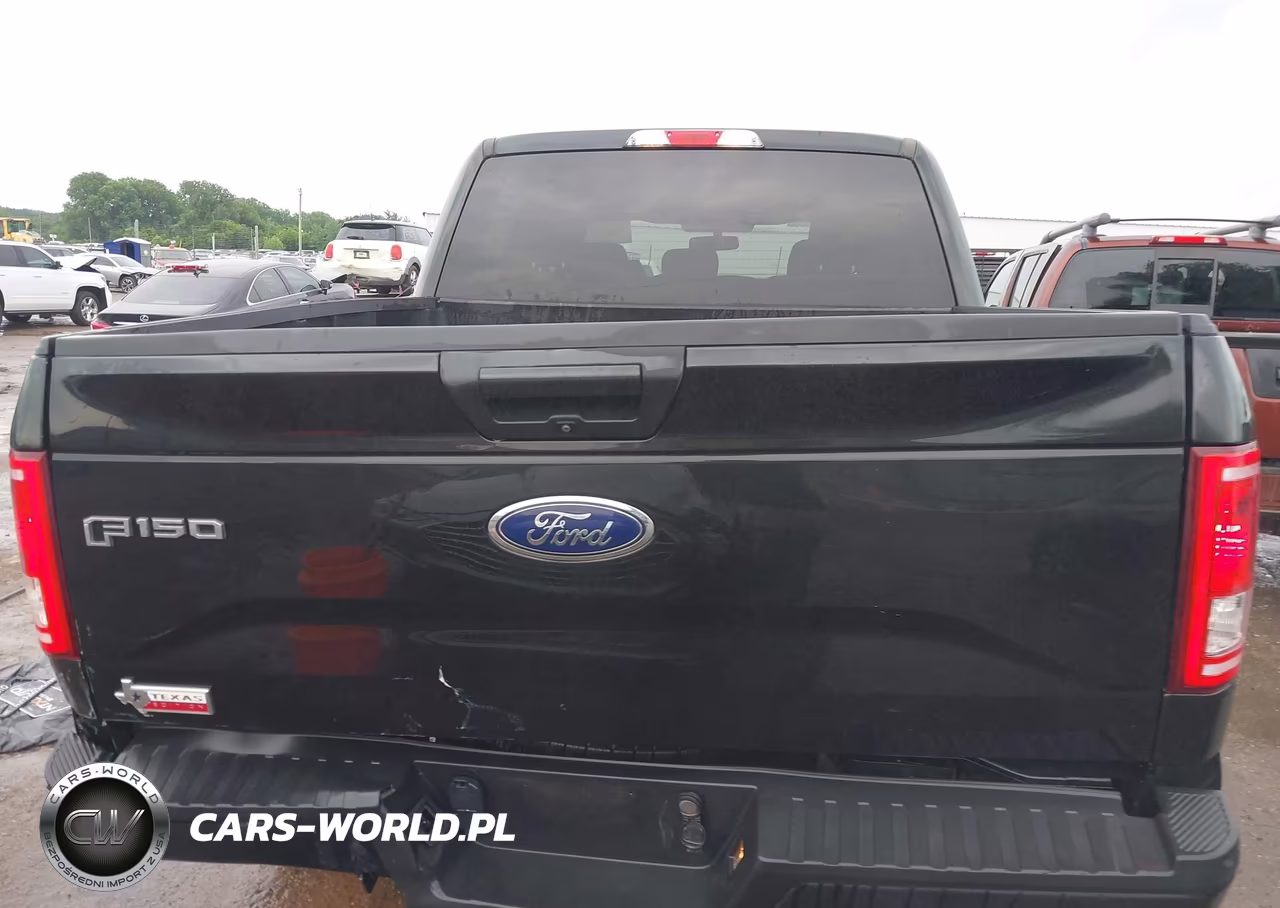 2015 Ford F-150 Xlt VIN:1FTEW1CG1FKE29101 - 16
