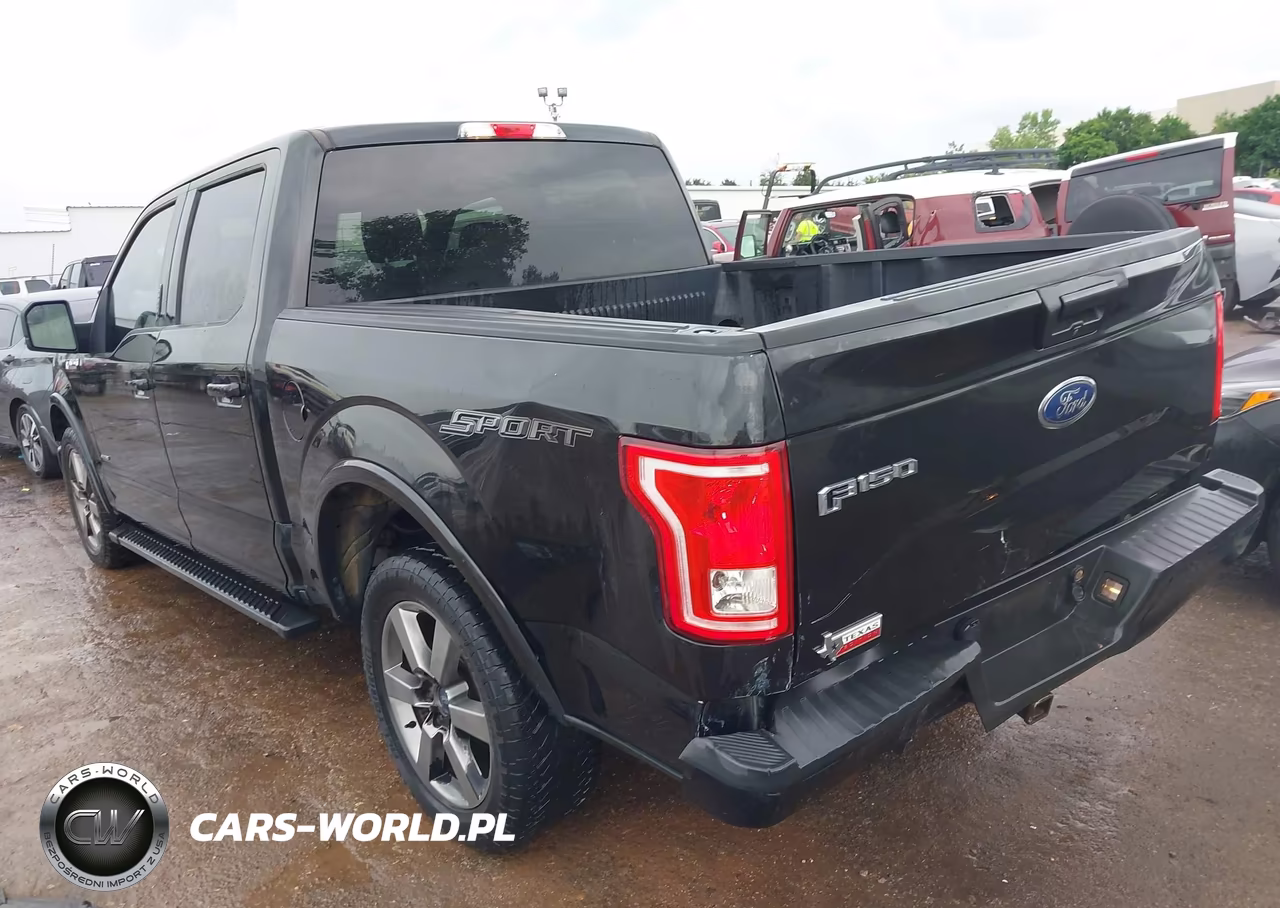 2015 Ford F-150 Xlt VIN:1FTEW1CG1FKE29101 - 3