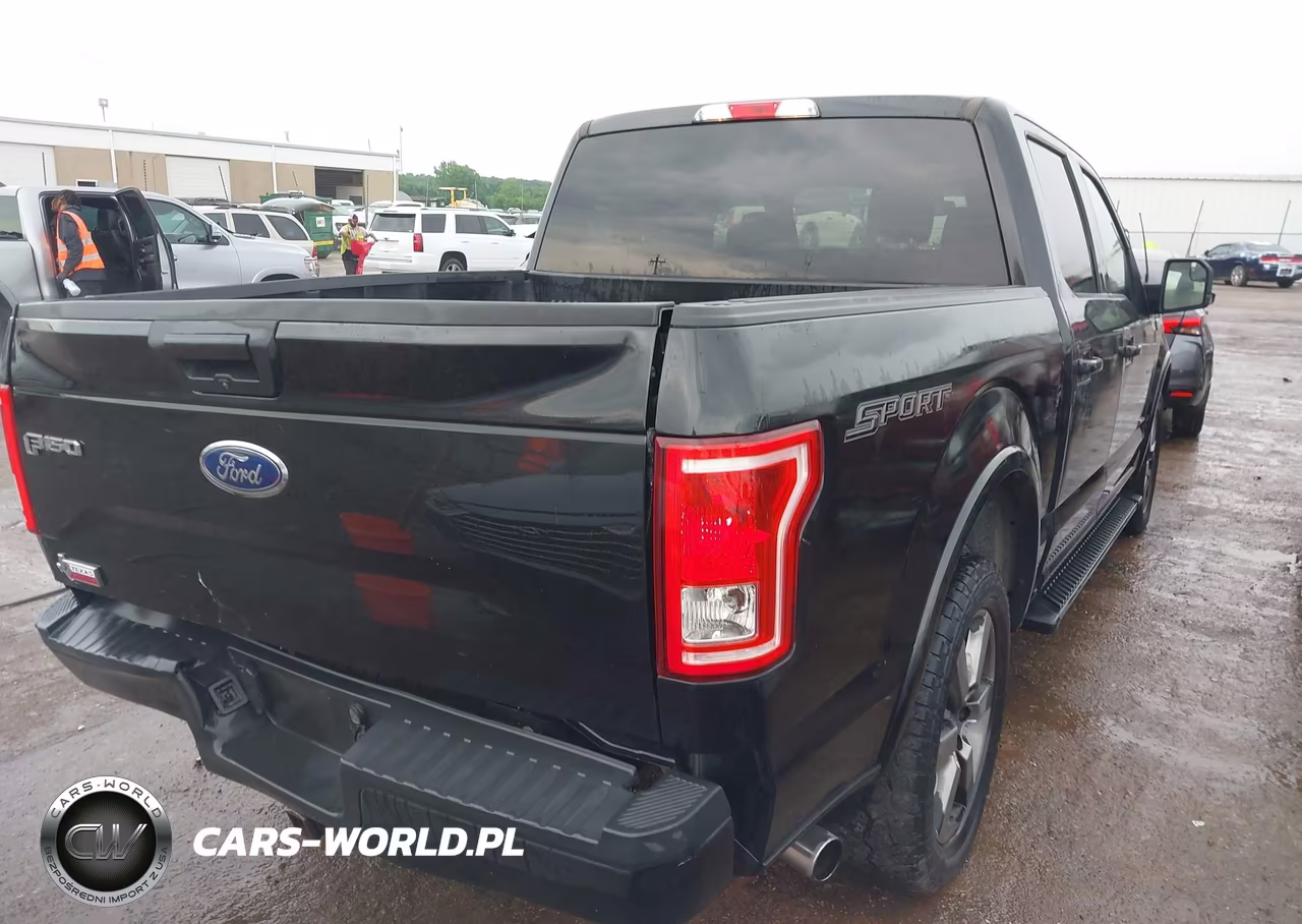 2015 Ford F-150 Xlt VIN:1FTEW1CG1FKE29101 - 4