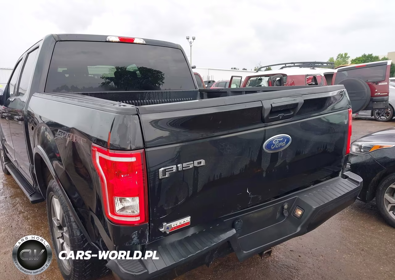 2015 Ford F-150 Xlt VIN:1FTEW1CG1FKE29101 - 6