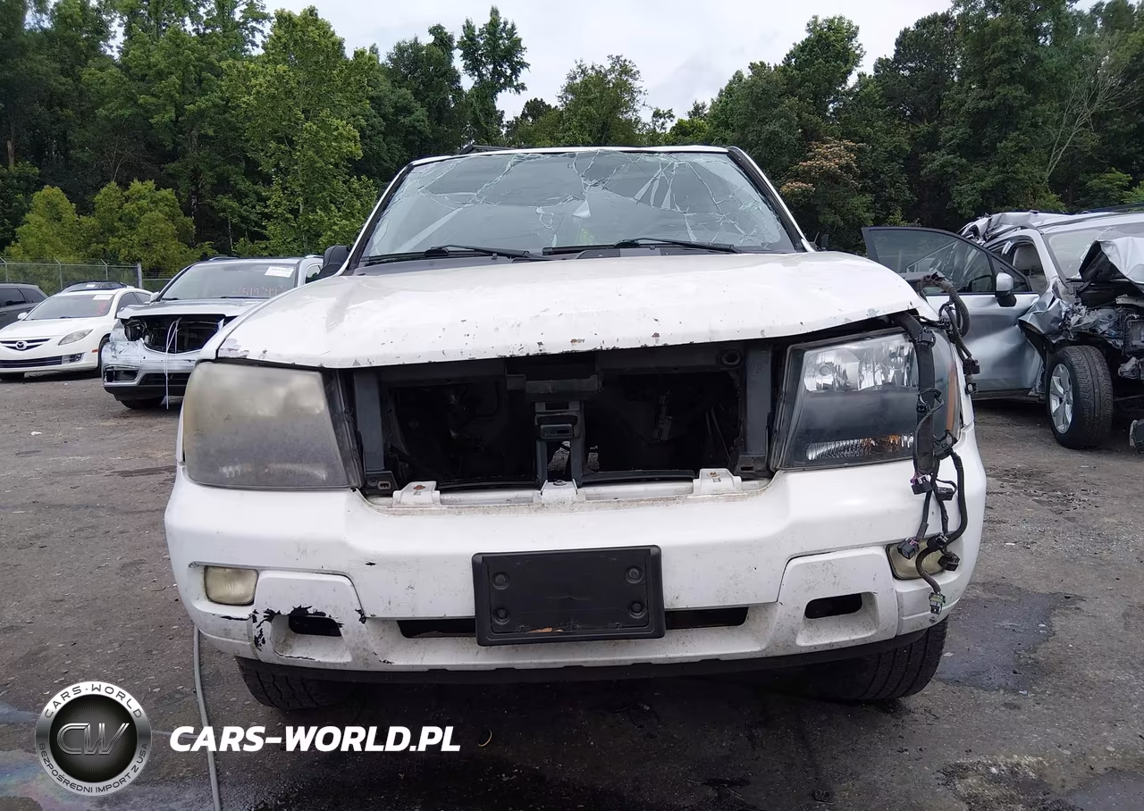 2009 Chevrolet Trailblazer Lt VIN:1GNDS33SX92107379 - 13