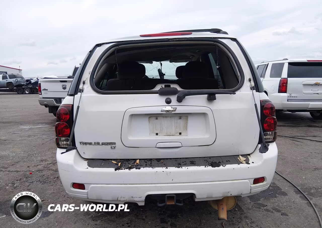 2009 Chevrolet Trailblazer Lt VIN:1GNDS33SX92107379 - 17