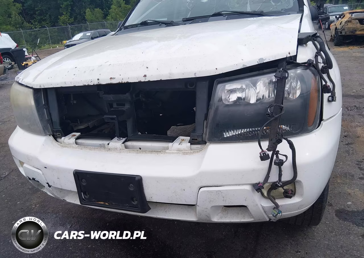 2009 Chevrolet Trailblazer Lt VIN:1GNDS33SX92107379 - 18